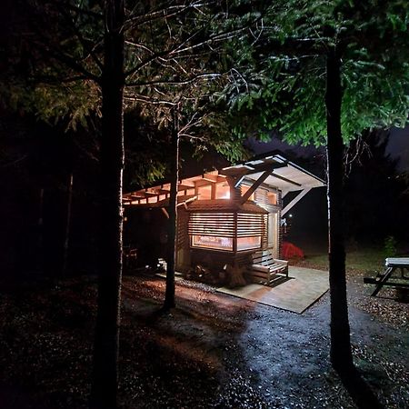 Brisas Del Llaima Villa Melipeuco Buitenkant foto