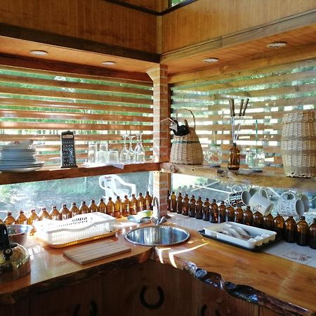 Brisas Del Llaima Villa Melipeuco Buitenkant foto