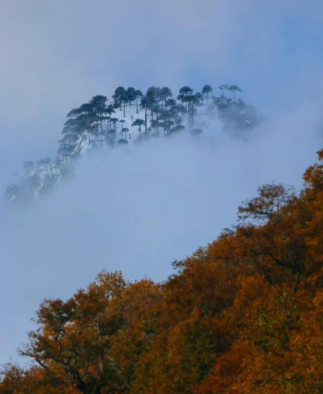 Brisas Del Llaima Villa Melipeuco Buitenkant foto